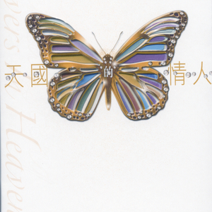 插入美女老师的穴
