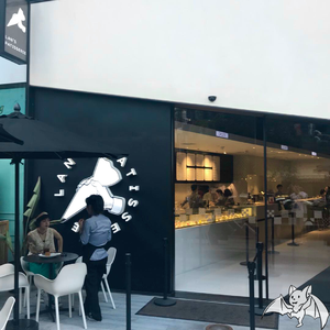 插入美女老师的穴
